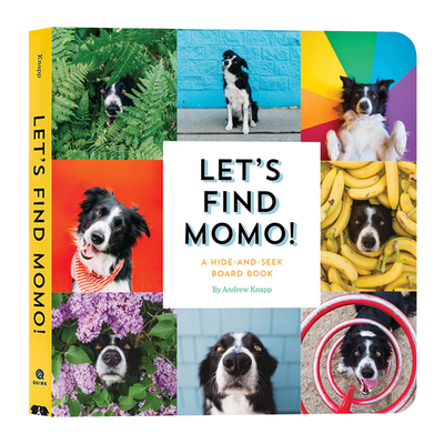 每张图片中搜索对象来游戏并学习