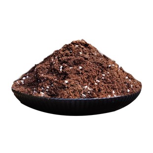 龟背竹专用土营养土热植盆栽专用肥天南星科土壤竹芋春羽土种植土