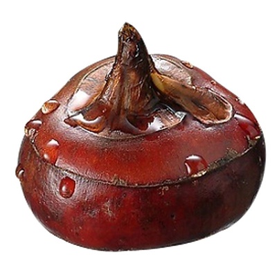 新鲜荸荠马蹄王地雪梨免洗马蹄