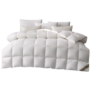 富丽真金家纺波兰进口95白鹅绒羽绒被冬被加厚保暖鹅绒被子被芯