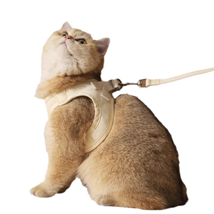猫咪胸背带牵引绳外出专用防挣脱小狗背带背心式宠物链子遛猫绳子