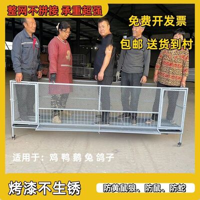 尖顶养殖笼鸡鸭鹅笼遮雨棚防黄鼠狼蛇加密加厚鸡笼棚养鸡笼子家用