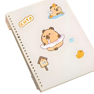 卡皮巴拉活页本b5a5a4初高中生专用笔记本本子高颜值环装订圈可拆卸替芯塑料夹外壳透明不硌手大容量空白方格