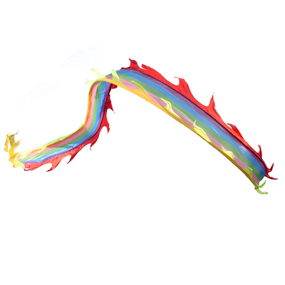 健身甩龙舞彩带广场儿童成人