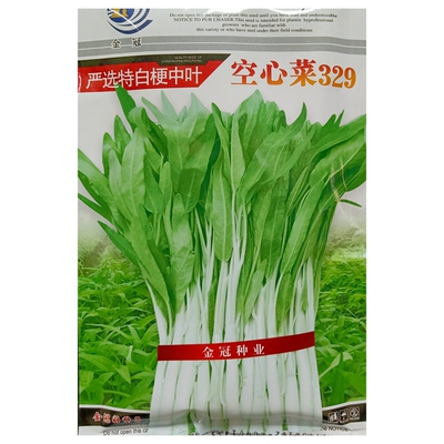 金冠空心菜种子白梗329粗梗250克