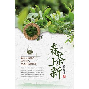 新茶上市海报宣传茶叶店茶叶广告贴纸墙纸绿茶春茶上市促销广告牌