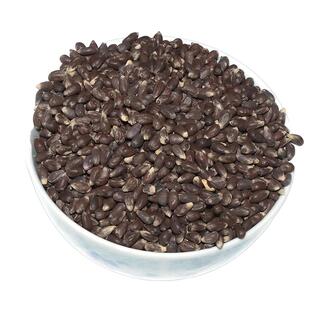 新疆棉花籽种子包衣春季种植长绒棉绒棉籽去壳籽仁可食用偏方结婚