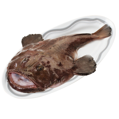 深海安康鱼！高品质！整条！