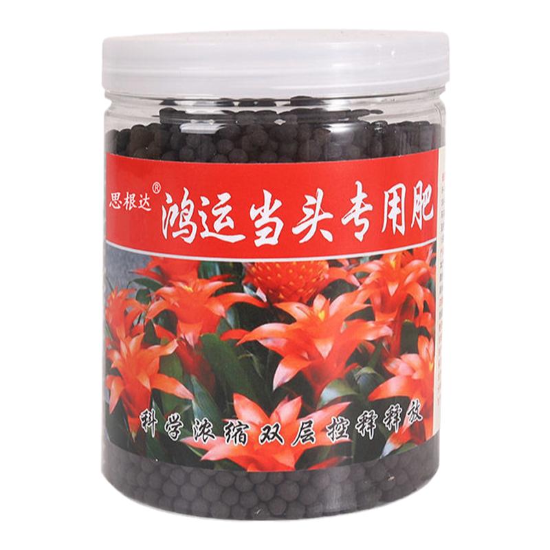 鸿运当头花肥料专用肥凤梨肥料一品红有机复合肥料盆栽绿植营养液