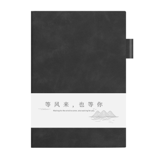 A5笔记本本子定制封面商务高档办公会议记录本加厚软皮精致高级记事本可插笔高颜值横线考研日记本可印logo