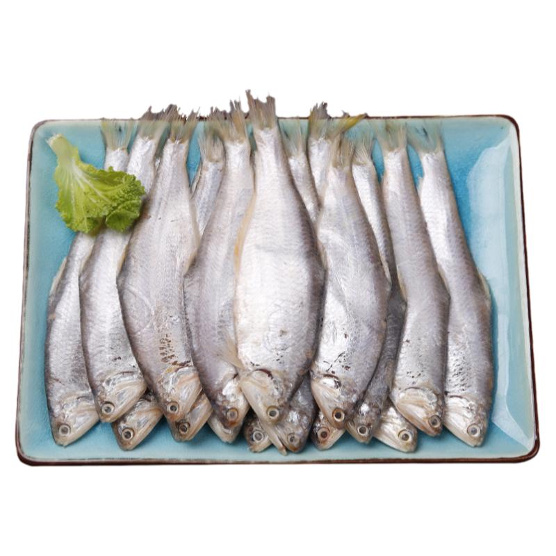 连云港赣榆新鲜黄鲫子黄鲫鱼油炸黄尖鱼烤子鱼海鲜特产油扣鱼簿鲫