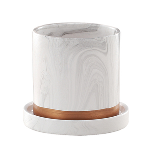 电镀金属花瓶镀金花盆 ins金色花盆盆栽笔筒花瓶花插花器可养真花