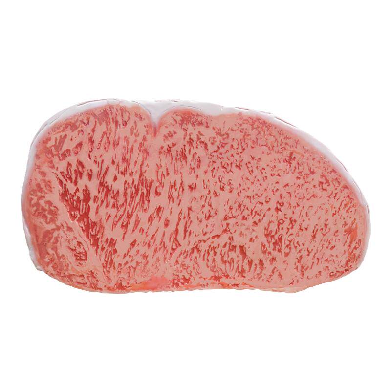 仿真雪花牛肉雕塑模型