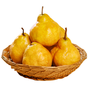 烟台中华丑梨梨子新鲜当季水果太婆软啤梨莱阳苹果梨特产9斤包邮