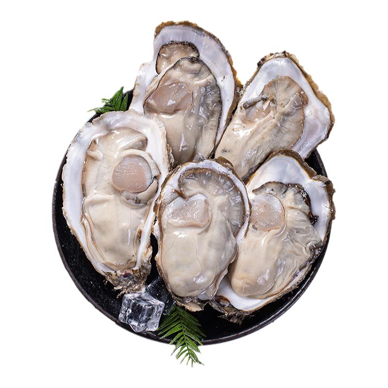 鲜活乳山生蚝海蛎大牡蛎5斤水产