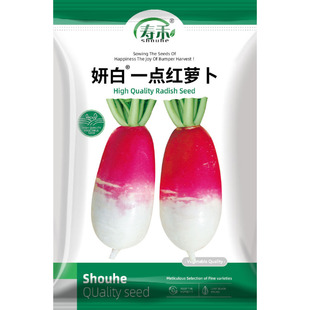 一点红水果萝卜种子种籽红皮水萝卜菜种秋季四季孑籽种萝卜籽