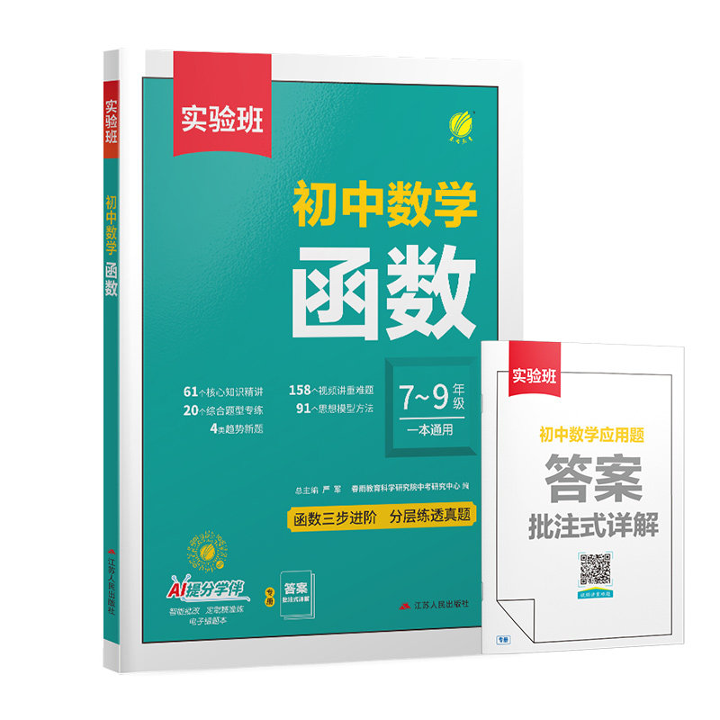 2027版实验班初中数学函数几何