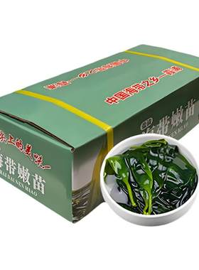 火锅店专用一箱装海带苗