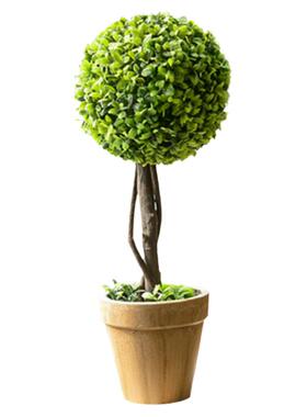 田园风仿真植物室内客厅摆设