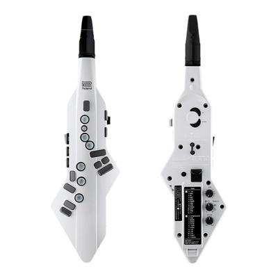 罗兰点吹管民族音色包邮新品