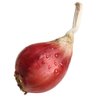 正宗广东红葱头肠粉调味卤肉熬油