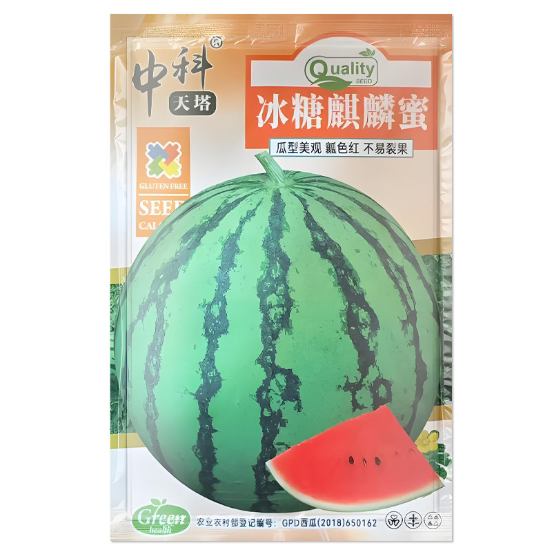 冰糖麒麟蜜西瓜种子水果种子