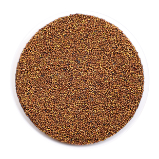 正品中药材精选野生菟丝子500g菟丝子茶菟丝子粉兔丝子沙苑子组合