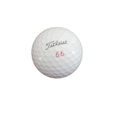 titleist高尔夫球高尔夫二手球