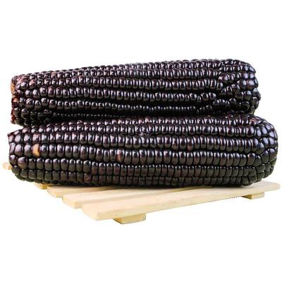 黑糯玉米新鲜真空装包