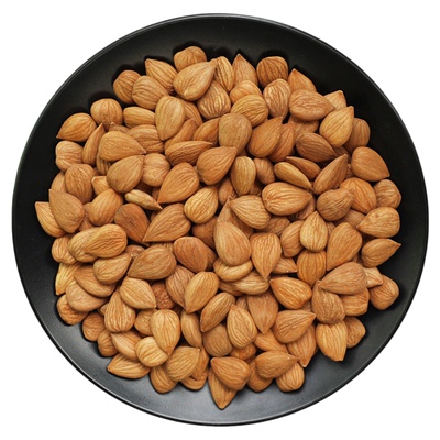 甜杏仁中药材大个颗粒饱满