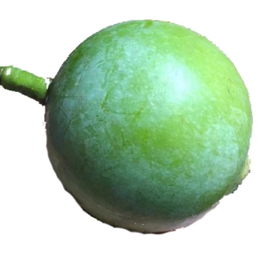 木竹子山竹新鲜水果酸桐子