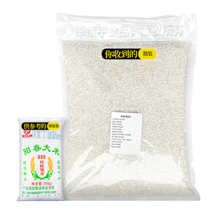 国星石磨肠粉专用米试用散装阳春大米888珍桂矮老早稻潮汕布拉肠