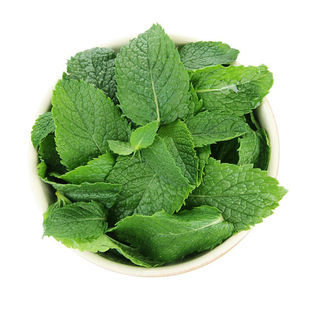 薄荷叶新鲜食用泡水调酒鸡尾酒商用奶茶原料留兰香薄荷叶子包邮