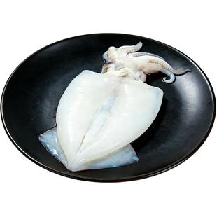 去皮去脏大鱿鱼新鲜冻冷冻商用批发烧烤食材海鲜火锅海捕码头直发