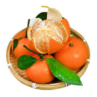 广西武鸣沃柑一级纯甜新鲜10斤整箱大果当季水果现摘砂糖皇帝桔子