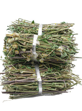 千里光野生中草药材干品