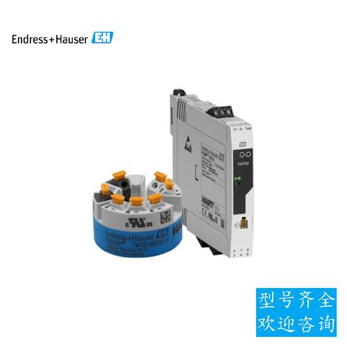 议价EH温度变送器TMT82-BAA2UB1A1AAA1E1模块x恩德斯豪斯温度传感