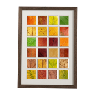落叶相框空框捡秋树叶标本36宫格手工diy制作40宫格收集画框装饰