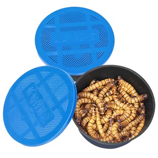 活虫大麦虫乌龟仓鼠黄粉虫龙鱼观赏鱼宠物鸟食物钓鱼活体面包虫子