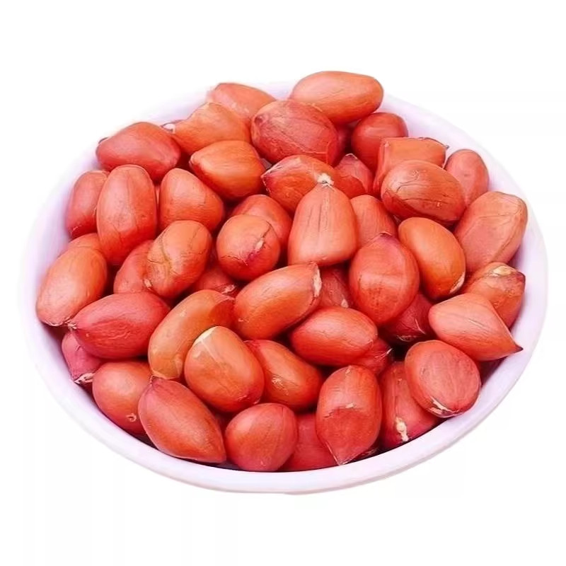 黑龙江红皮花生米500g新鲜