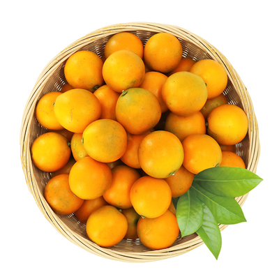 正宗融安脆蜜金桔第三代广西脆蜜金柑纯甜礼盒装顺丰新鲜果园现摘