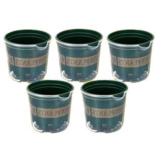 绿萝花盆懒人自动吸水双层塑料盆栽室内阳台免浇水透明储水加仑盆