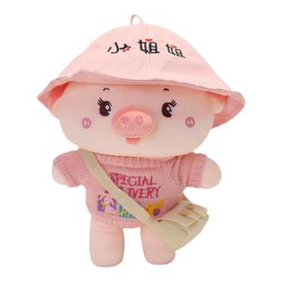 阳光猪玩偶睡觉抱公仔小猪毛绒玩具猪猪布娃娃儿童节礼物女孩生日