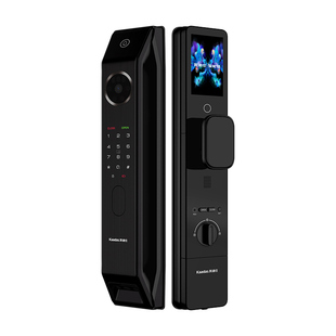 凯迪仕P30ProMax双摄星人脸猫眼指纹密码家用监控电子锁智能门锁
