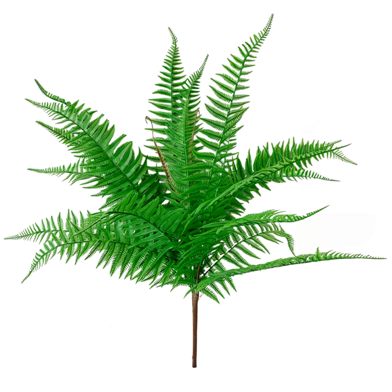 仿真绿植蕨类植物背景墙面橱窗新潮婚庆装饰创意景观波斯叶大蕨叶
