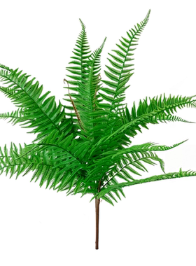 仿真绿植蕨类植物背景墙面橱窗婚庆装饰创意盆栽手感波斯草大蕨叶