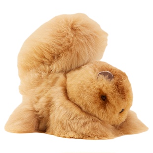 INJOI英乔松鼠毛绒玩偶手工秘鲁羊驼毛玩具公仔儿童生日新年礼物