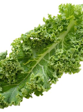 羽衣甘蓝新鲜kale蔬菜食用榨汁烤片健身轻食2斤西餐沙拉蔬菜食材