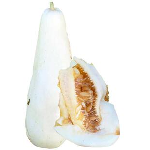 超甜白皮羊角蜜羊角脆脆甜甜酥瓜甜瓜种子皮超薄白玉羊角蜜瓜种子