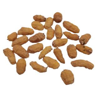 油莎豆半干农家油沙豆豆浆虎坚果油豆大粒云南老品种长形包邮